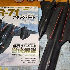 141位のイメージ