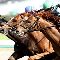 381位のイメージ