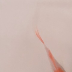 18位のイメージ