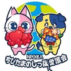 27位のイメージ