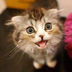 46位のイメージ