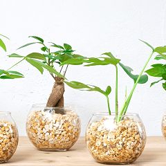 13位のイメージ