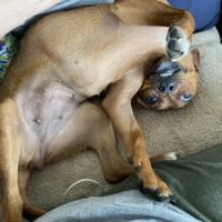 90位のイメージ