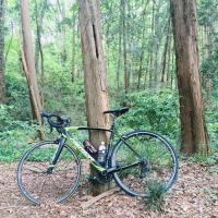 15位のイメージ