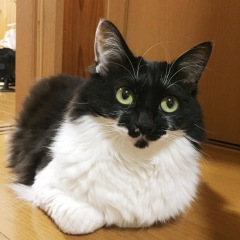 157位のイメージ