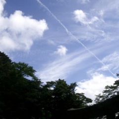 71位のイメージ