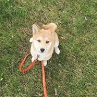 56位のイメージ