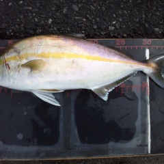 58位のイメージ