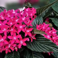 2316位のイメージ