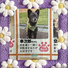 14位のイメージ