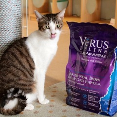 73位のイメージ