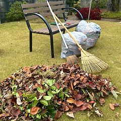 55位のイメージ