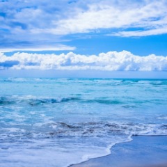 21位のイメージ