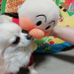 45位のイメージ