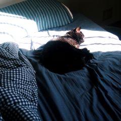 17位のイメージ