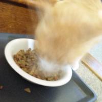 ｌｕｋａ 黒猫のワルツ 人気ブログランキング