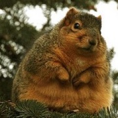 66位のイメージ