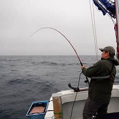 14位のイメージ