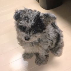 30位のイメージ