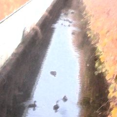 84位のイメージ