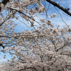 45位のイメージ