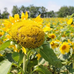 23位のイメージ