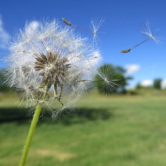 15位のイメージ
