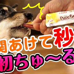 12位のイメージ