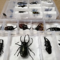 15位のイメージ