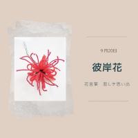 61位のイメージ