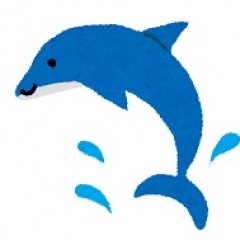 11位のイメージ