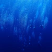 15位のイメージ