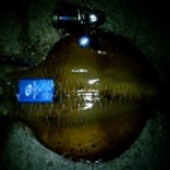 54位のイメージ