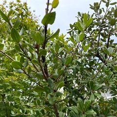 104位のイメージ