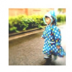 29位のイメージ