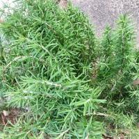 10位のイメージ