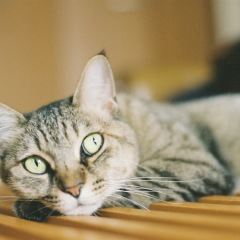 111位のイメージ