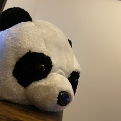 16位のイメージ