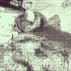 17位のイメージ