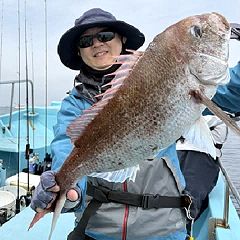 12位のイメージ