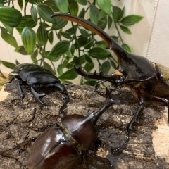 20位のイメージ