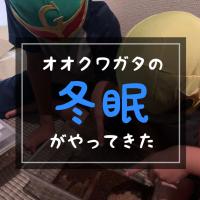 19位のイメージ