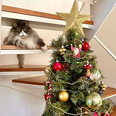 65位のイメージ