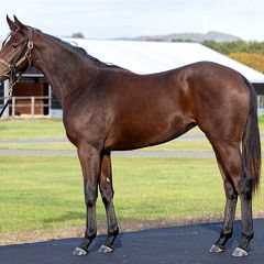 30位のイメージ