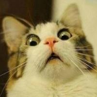 22位のイメージ