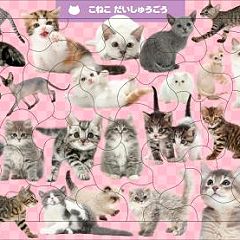 35位のイメージ