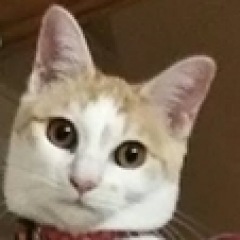 94位のイメージ