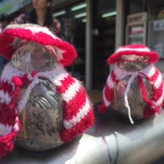 31位のイメージ