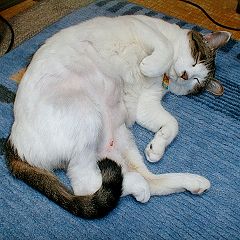 146位のイメージ