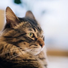 21位のイメージ